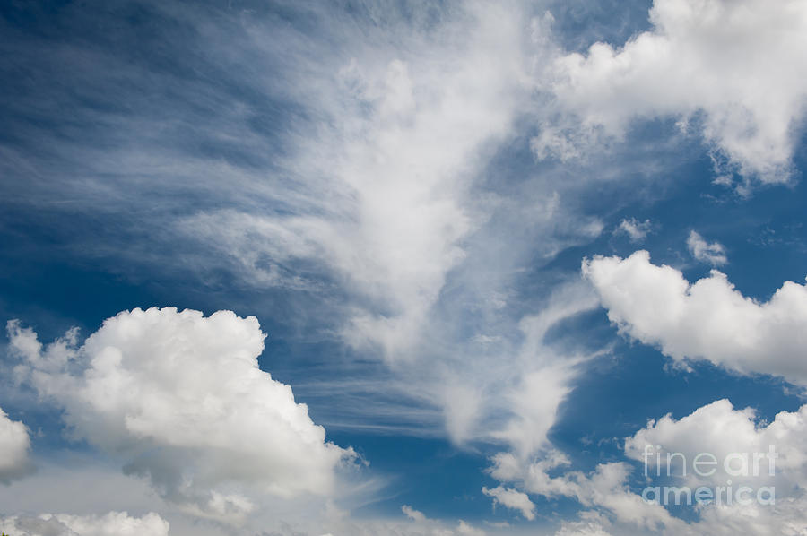 White Various Clouds Formation Photograph