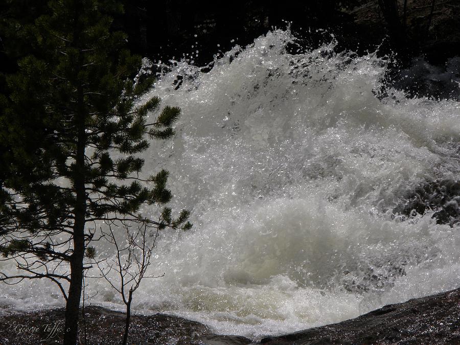 White water Photograph by George Tuffy