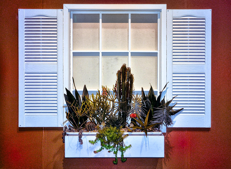 White Window with Flower Box on a Red House Photograph by Bill Cannon