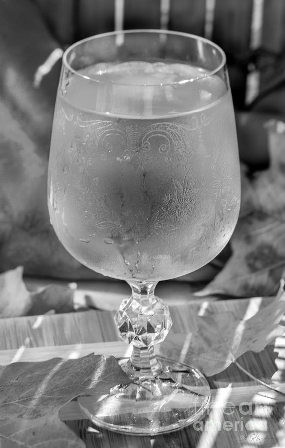 Copyright Owner Photograph - White Wine in Vintage Glass by Iris Richardson