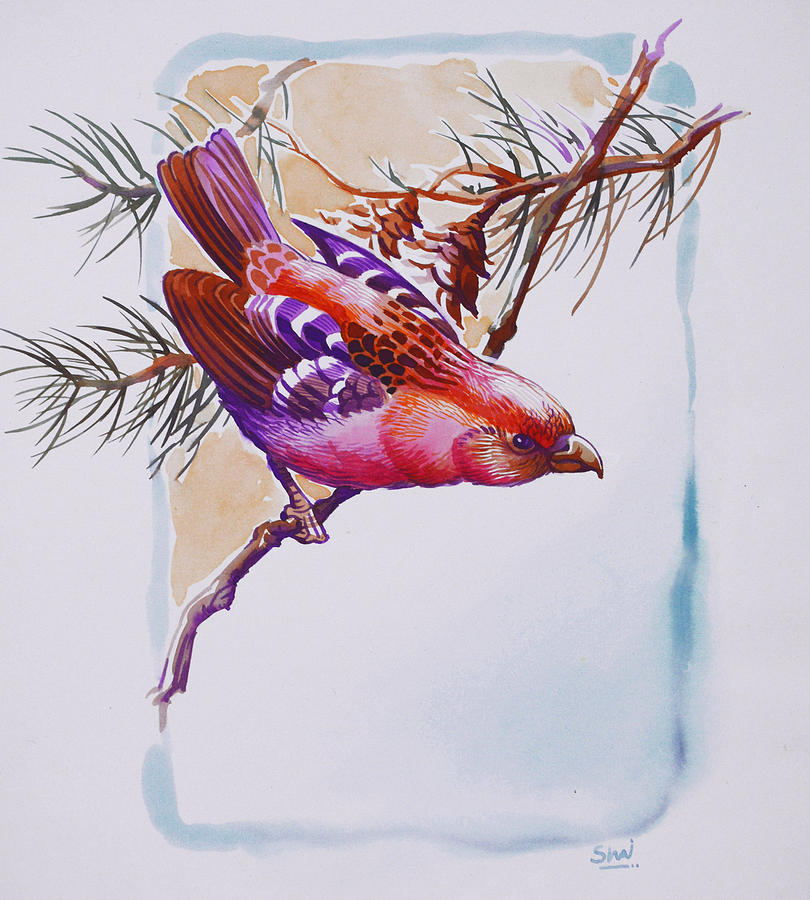 Nature Painting - White winged crossbill by Shivani Verma