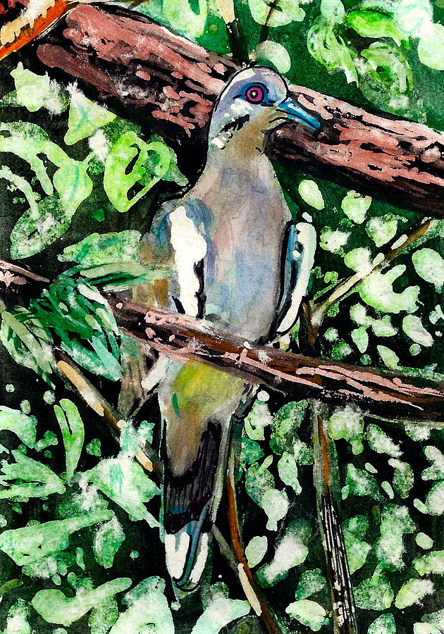 White Winged Dove Painting Painting