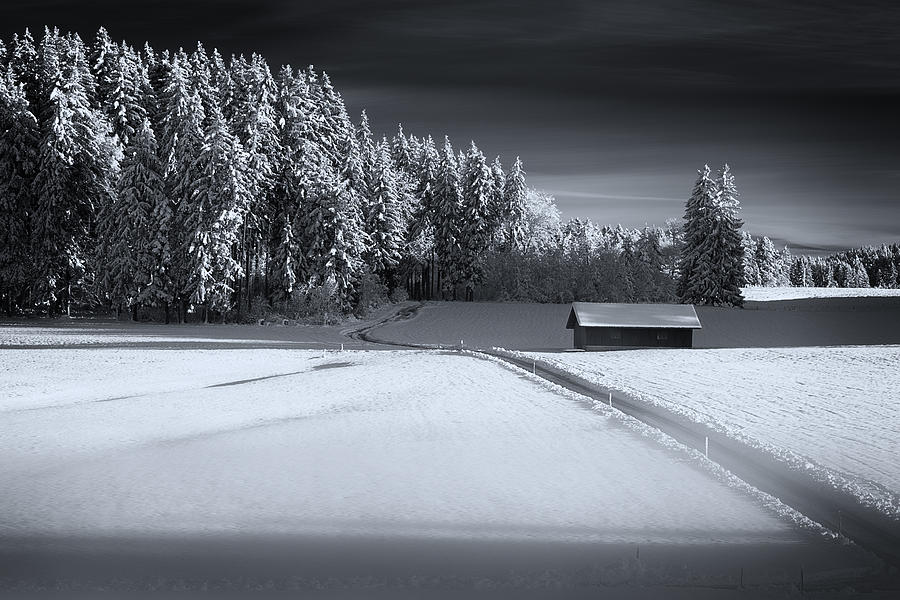 White Winter Photograph by Dominique Dubied
