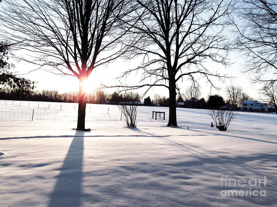 White Winter Sunrise Photograph