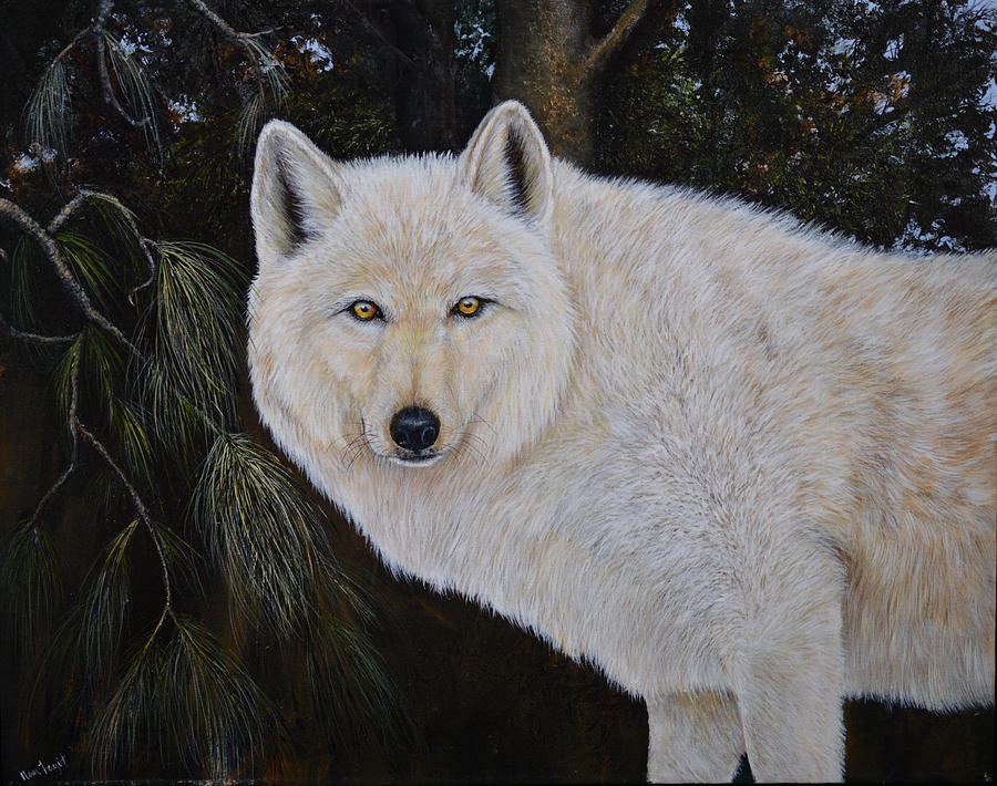 White Wolf in the Woods Painting by Nancy Lauby