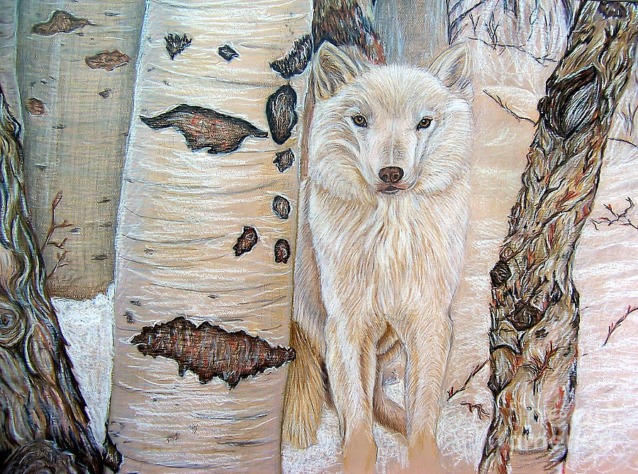 White Wolf Pastel by Joy Reese - Fine Art America