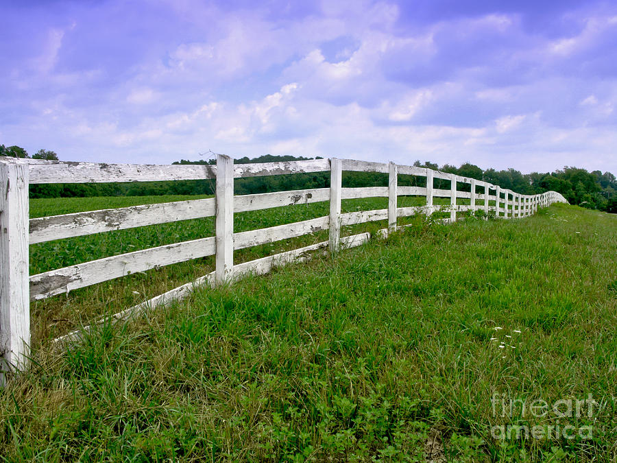 White Wood Fence Photograph by Olivier Le Queinec