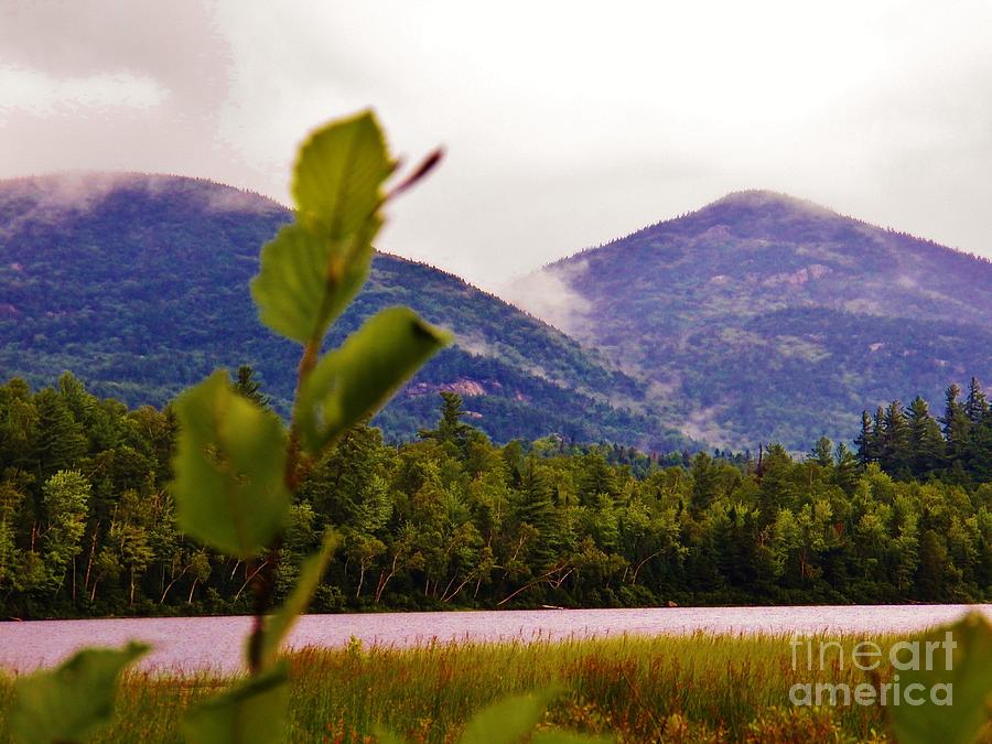 Whiteface Mountain in the Clouds 1 Photograph by Judy Via-Wolff