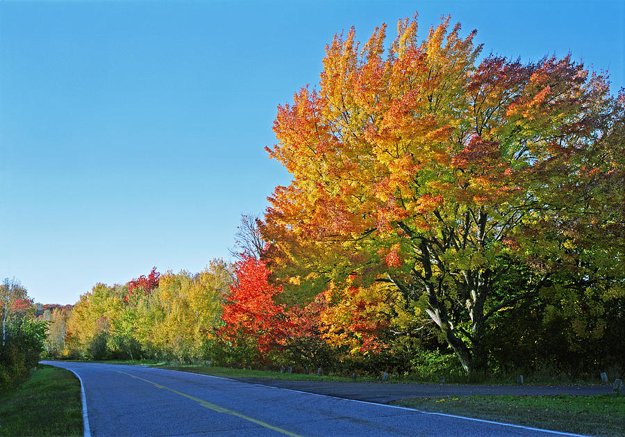 Whitefish Bay Scenic Byway Photograph by Kris Rasmusson