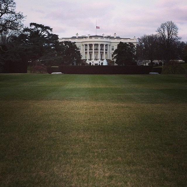 Whitehouse Photograph - #whitehouse #presidential #cartwheels by Elaine Ismert