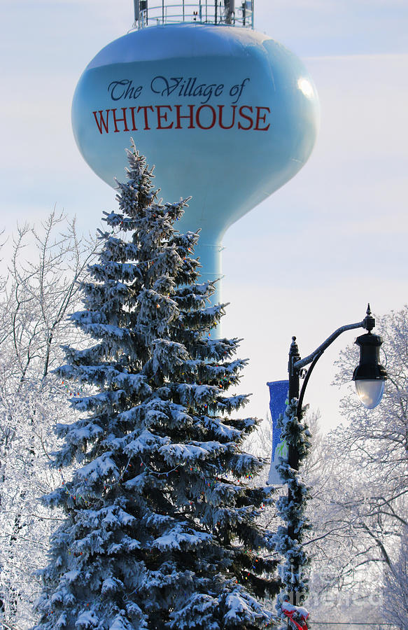 Whitehouse Water Tower  7361 Photograph by Jack Schultz