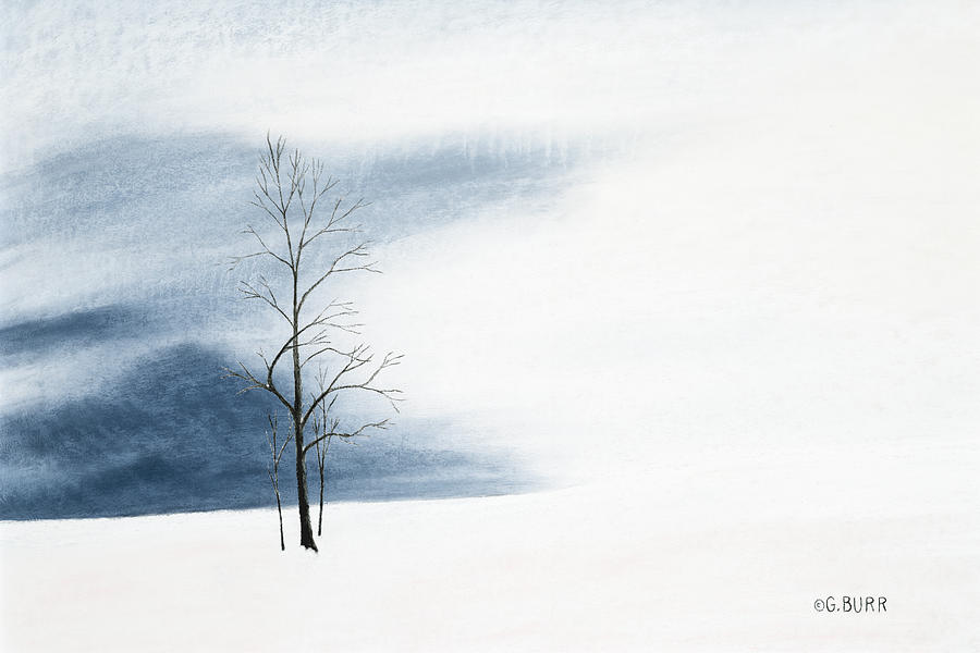 Winter Pastel - Whiteout by George Burr