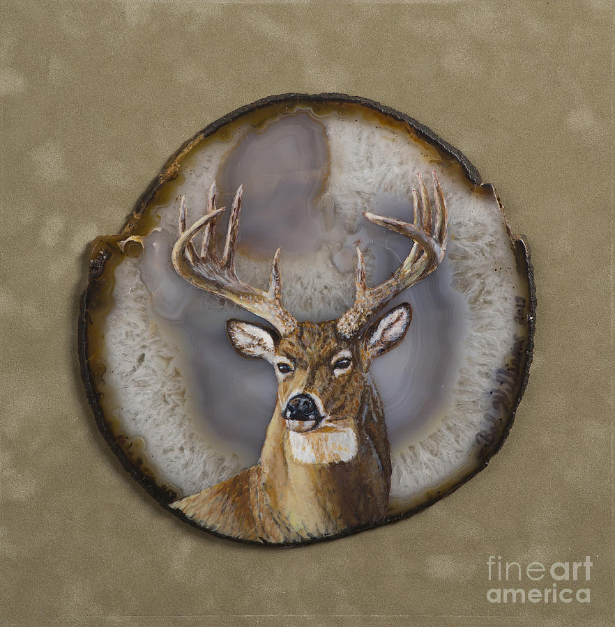 Deer Painting - Whitetail Authority by Bob Williams