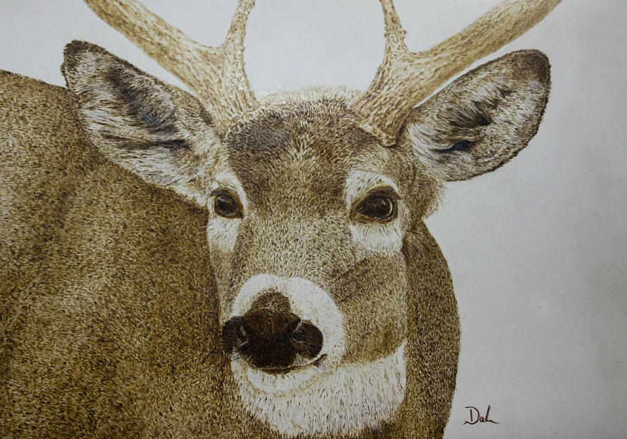 Whitetail Buck Mixed Media by Dale Bradley