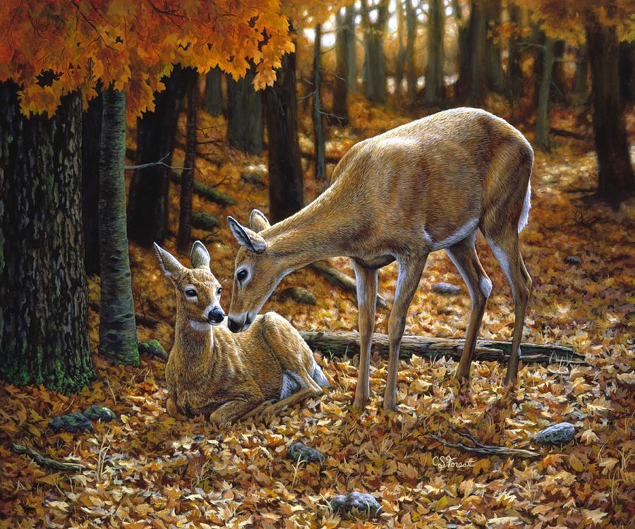 Deer Painting - Whitetail Deer - Autumn Innocence 2 by Crista Forest