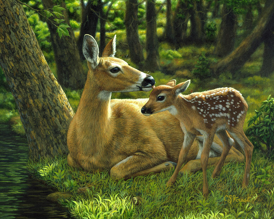 Deer Painting - Whitetail Deer - First Spring by Crista Forest