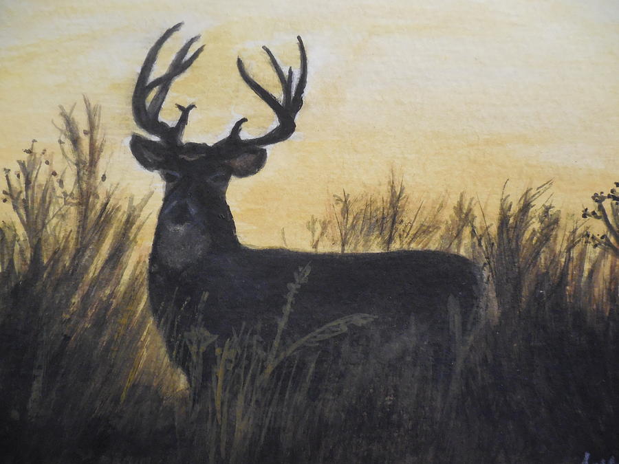 Deer Painting - Whitetail deer by Tammy McClung