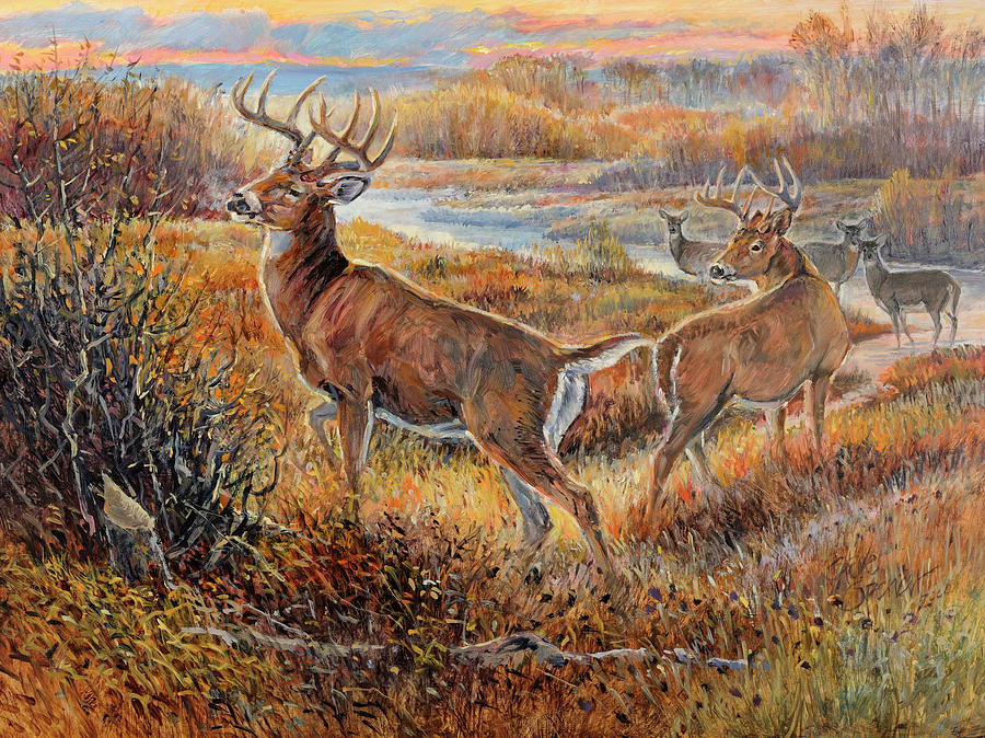 Nature Painting - Whitetail Sunrise by Steve Spencer
