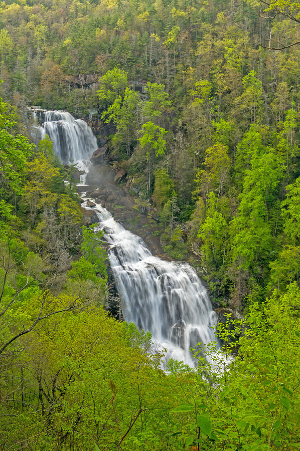 Whitewater Falls in the Spring Photograph by Willie Harper