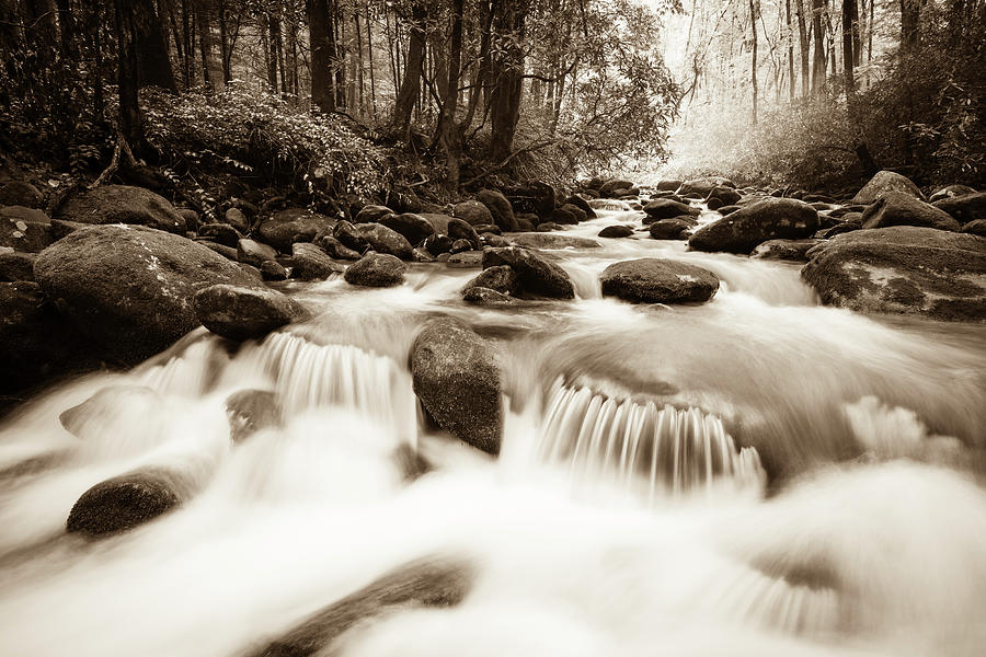 Whitewater In The Smoky Mountains Photograph by Wbritten