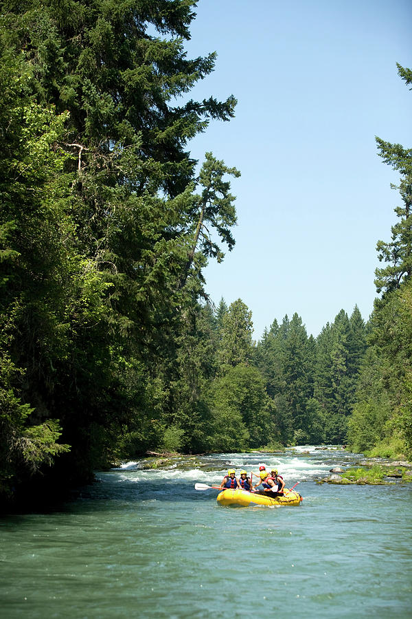 Tree Photograph - Whitewater Rafting On The White Salmon by Justin Bailie