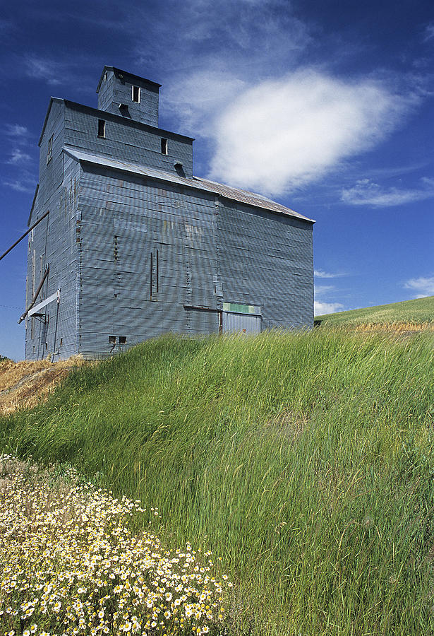 Summer Photograph - Whitman Co Elevator by Latah Trail Foundation