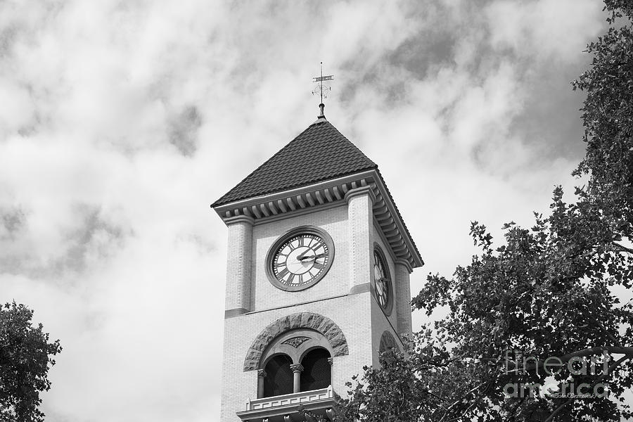 Whitman College Memorial Tower Photograph by University Icons