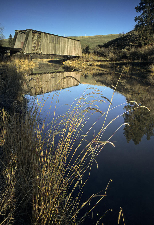 Whitman County Bridge Photograph by Doug Davidson