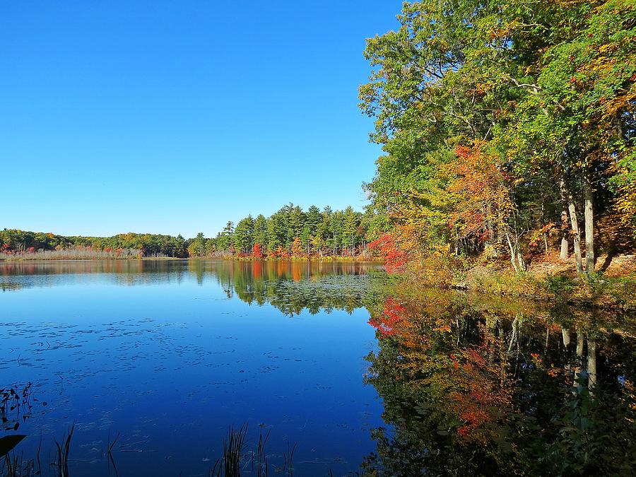 Fall Photograph - Whitney Pond in Autumn by MTBobbins Photography