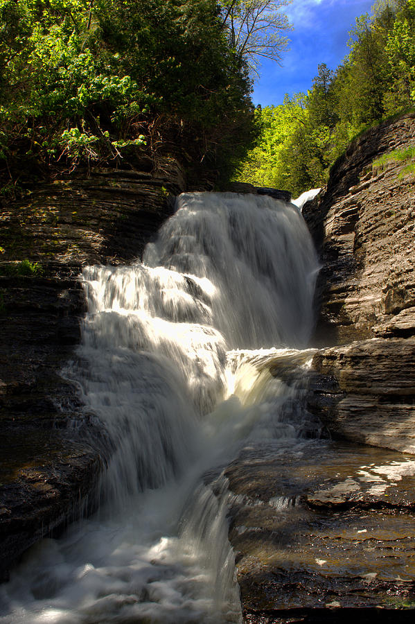 Whittaker Falls Park Photograph by Dennis Comins - Fine Art America