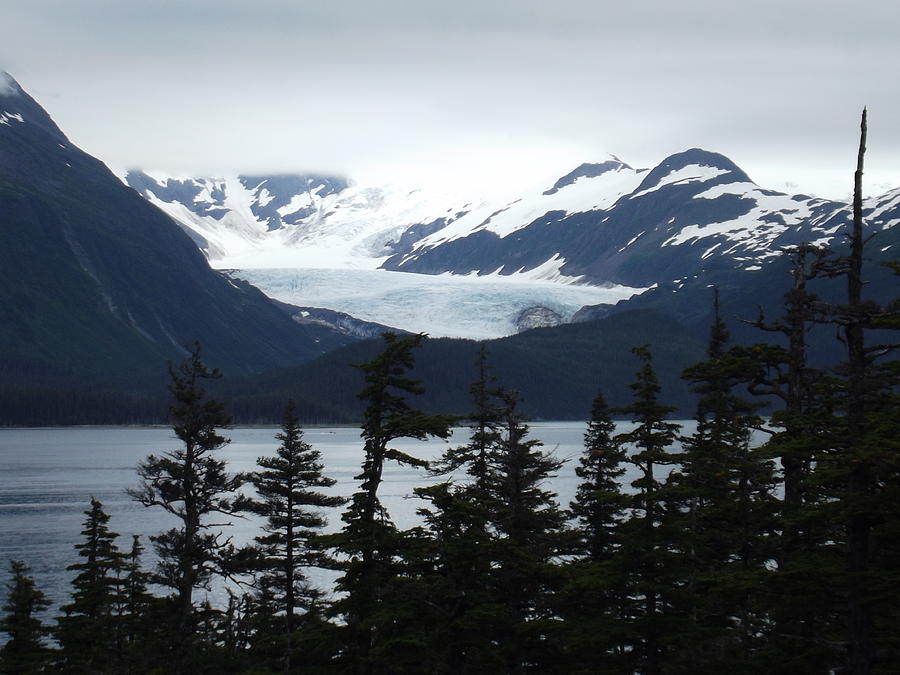 Whittier Alaska 1 Photograph By Nikki Jauron - Fine Art America