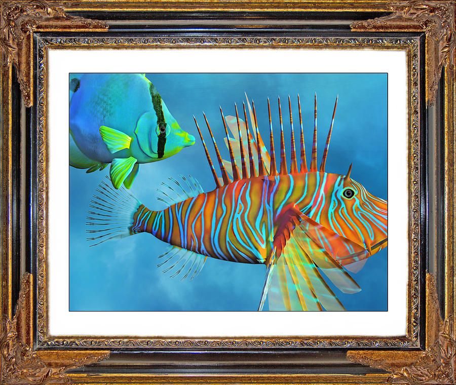 Fish Mixed Media - Who Framed the Fishes by Betsy Knapp