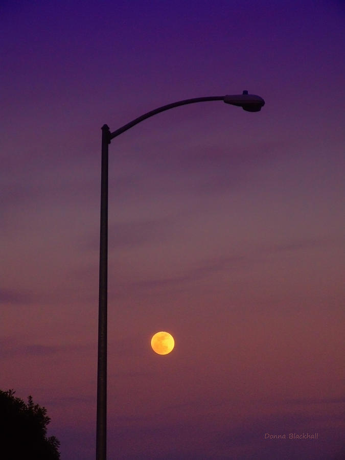Sunset Photograph - Who Needs A Lamp Post by Donna Blackhall