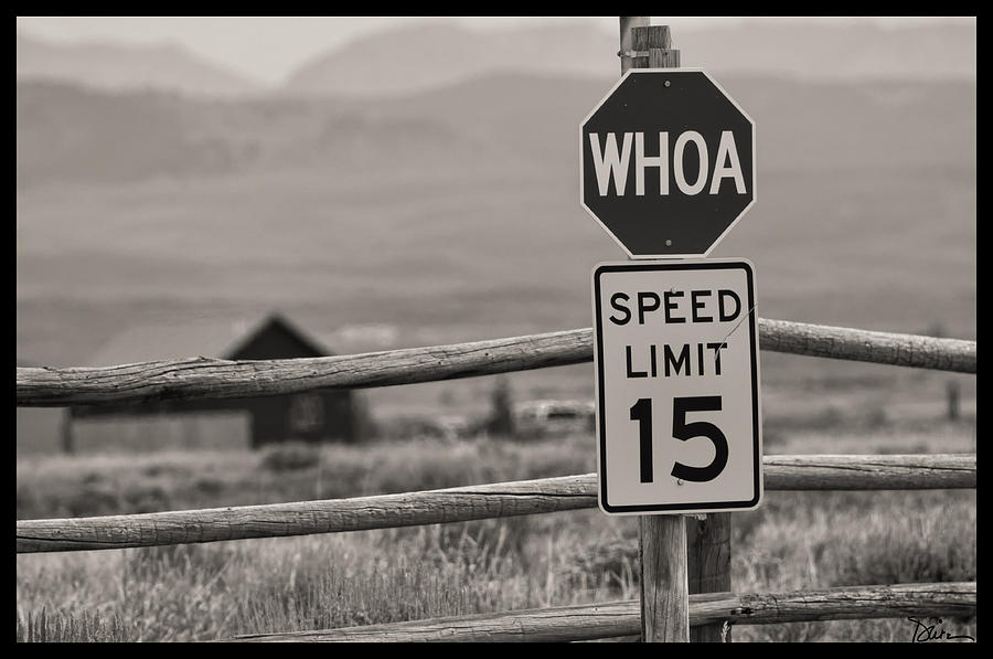 Whoa Sign in Wyoming Photograph by Peggy Dietz