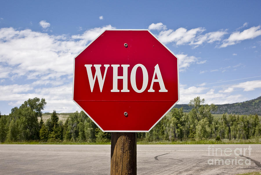 Whoa Stop Sign Photograph by Rafael Macia