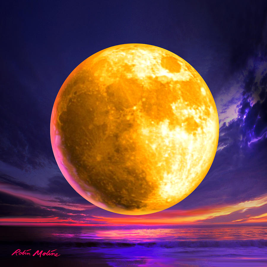 Whole of the Moon Digital Art by Robin Moline