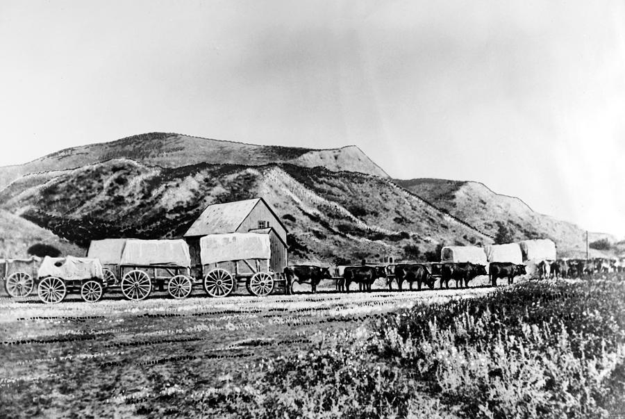 Whoop-up Trail, 1870s Photograph by Granger