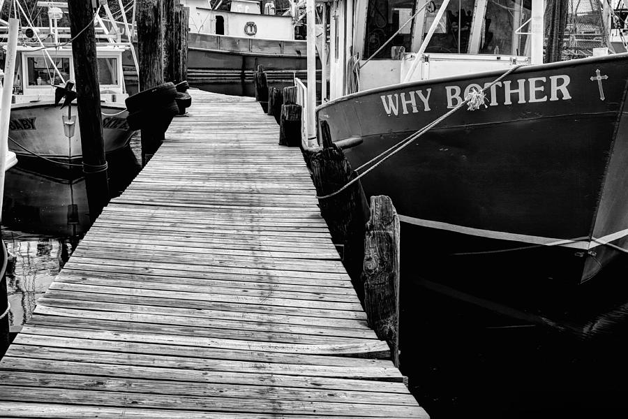 Why Bother Photograph by JC Findley