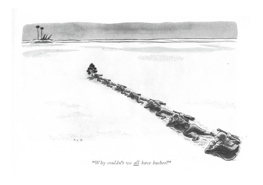 Why Couldnt We All Have Bushes? Drawing by Robert J. Day