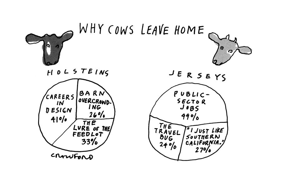 Why Cows Leave Home Drawing by Michael Crawford