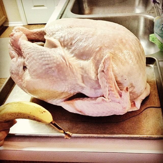 Thanksgiving Photograph - Why My Parents Bought A 23 Pound Turkey by Erica Kuschel