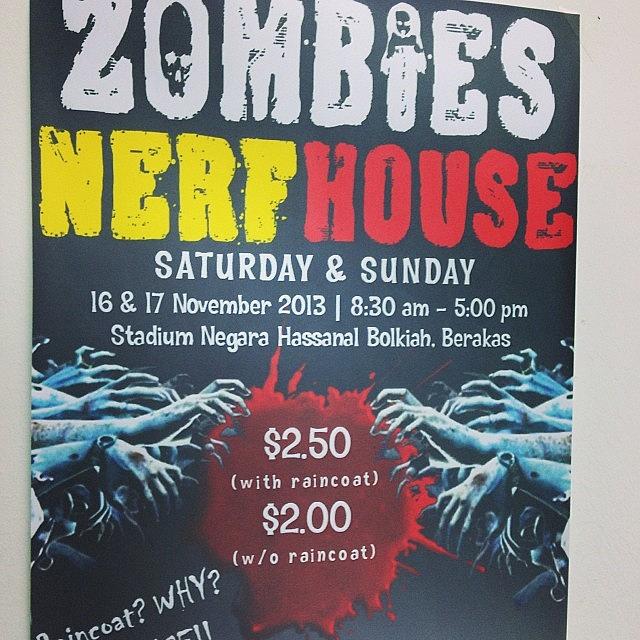 Wicked Cool! A Zombie Nerf House! If Photograph by Aliya Zin