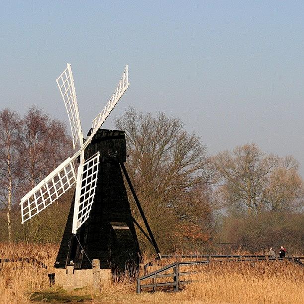 Fall Photograph - Wickfen Windmill by Tony Webb