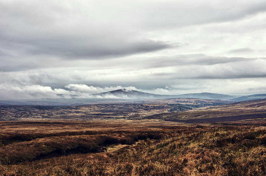 Wicklow Mountains, Ireland Photograph by Lisavalder