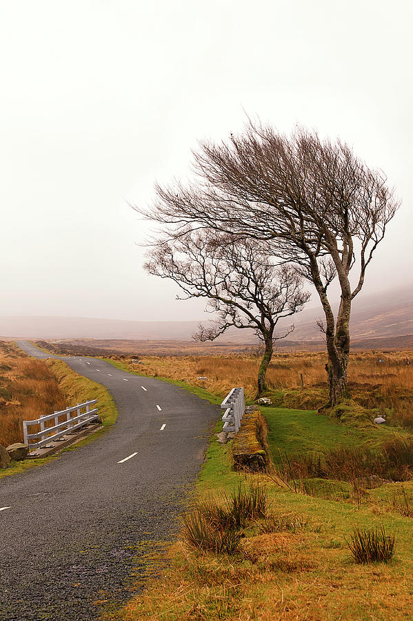 Wicklow Mountains Photograph by Photography By Lana Galina