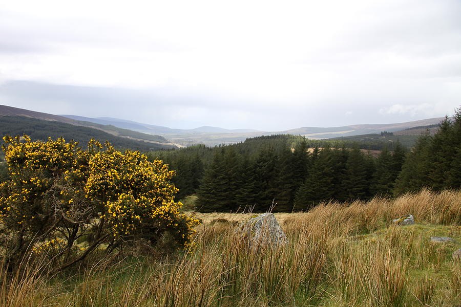 Nature Photograph - Wicklow Mountains View by Christiane Schulze Art And Photography
