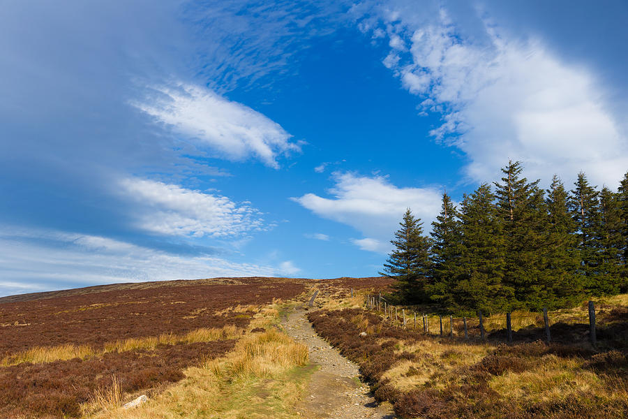 Wicklow Way trail through Wicklow Mountains Photograph by Semmick Photo