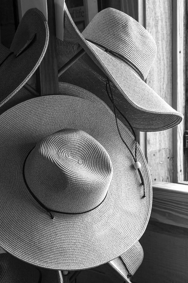 Wide Brimmed Hats Photograph by Lynn Palmer | Fine Art America