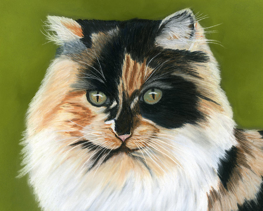 Cat Painting - Wide Eyed by Sarah Dowson