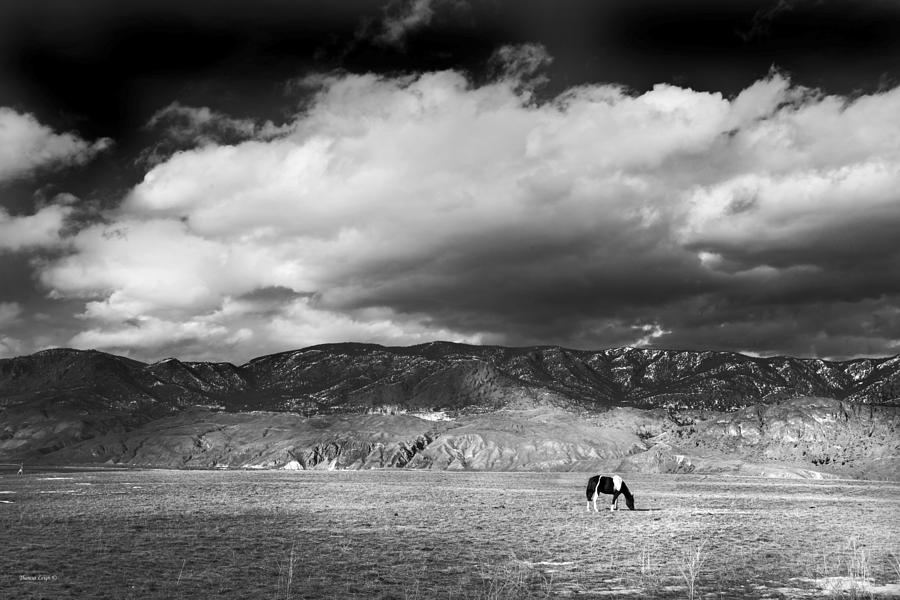 Black And White Photograph - Wide Open Spaces by Theresa Tahara